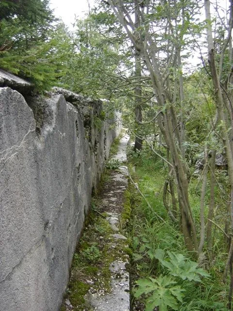 Forte Campolongo - Muro di difesa e trincea armata