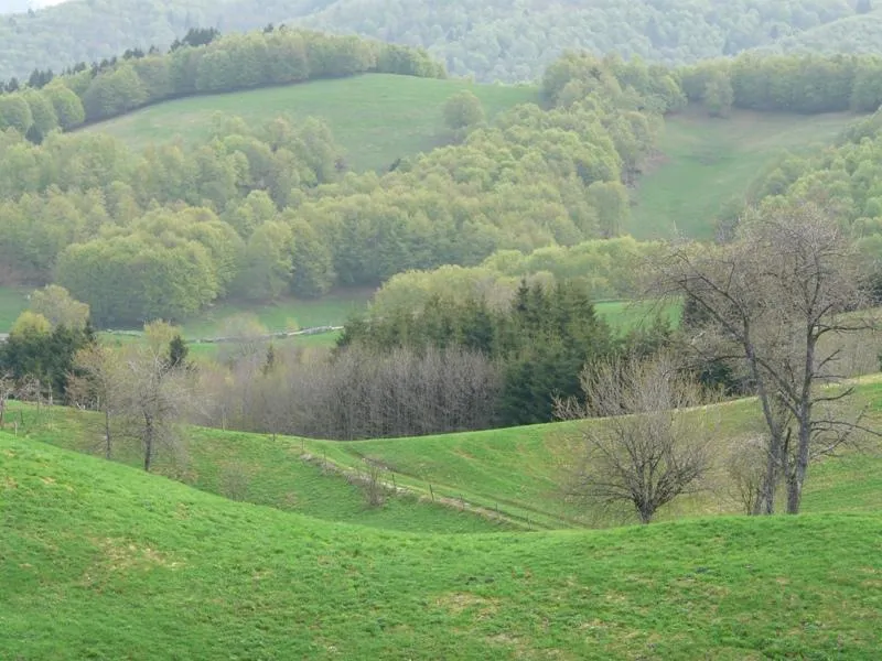 Rubbio Cima Campolongo