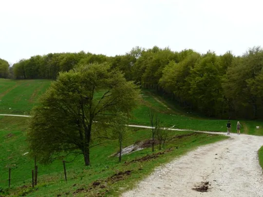 Rubbio - la strada bianca