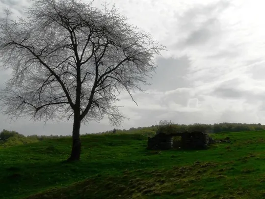 Rubbio - appunti di viaggio...