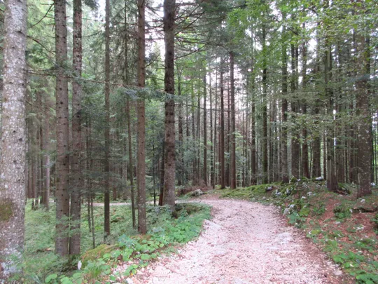 Dettaglio del percorso