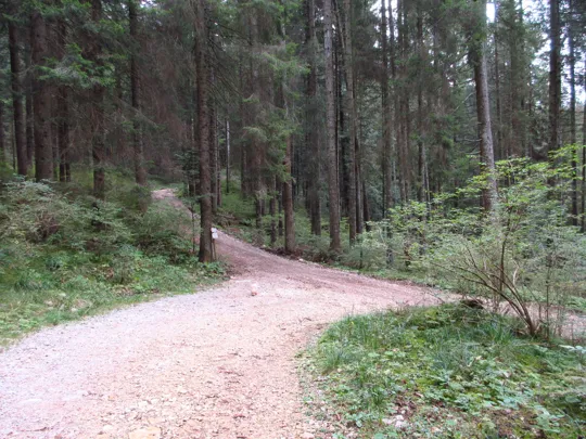 Si prosegue a sinistra in salita