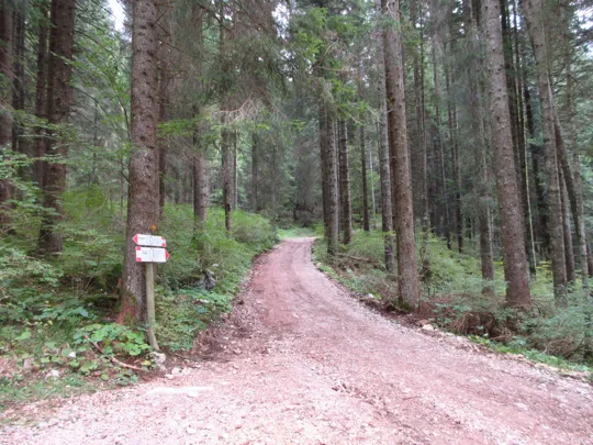 Dettaglio dell'incrocio