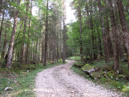 Dettaglio del percorso