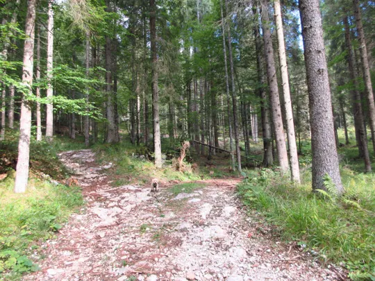 Proseguire a destra sulla strada principale