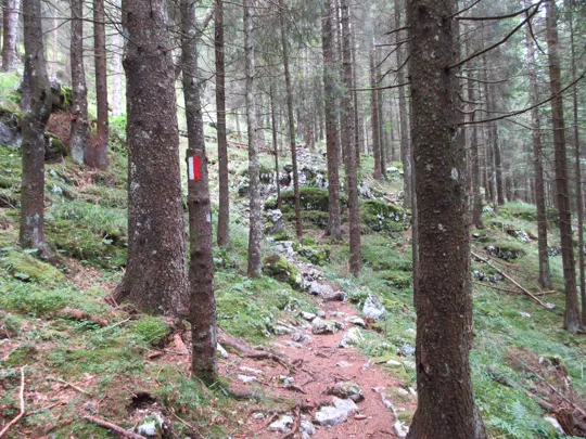 Dettaglio del sentiero dopo il cimitero