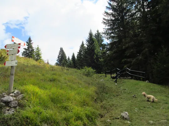 Verso il cimitero della Brigata Sassari