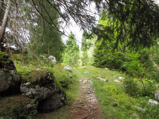 Dettaglio del sentiero