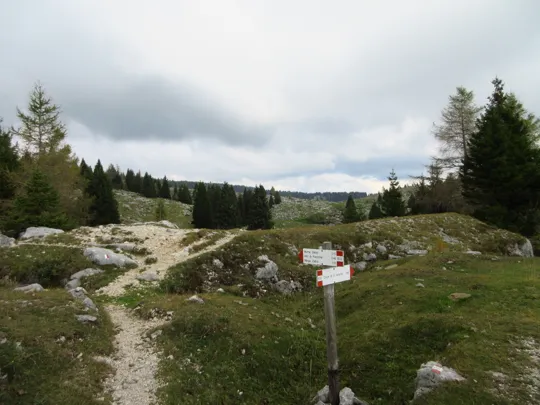 Verso la cima dello Zebio