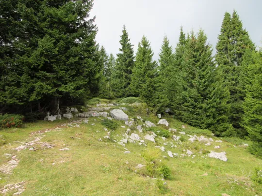 Dettaglio del sentiero sullo Zebio