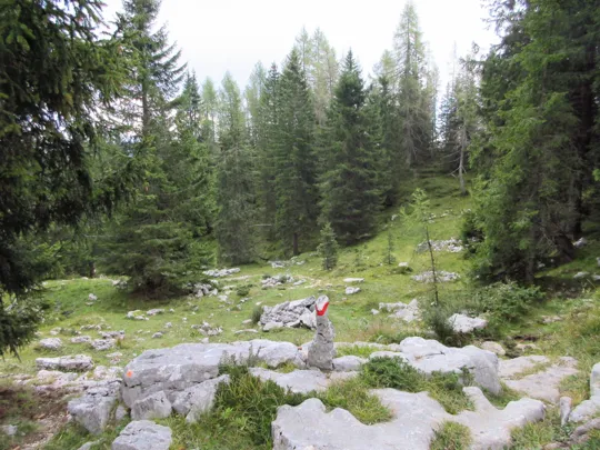 Dettaglio del sentiero sullo Zebio