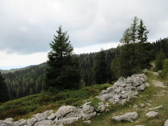 Dettaglio del sentiero