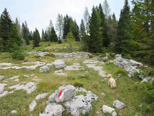 Uscita dal sentiero e sinistra