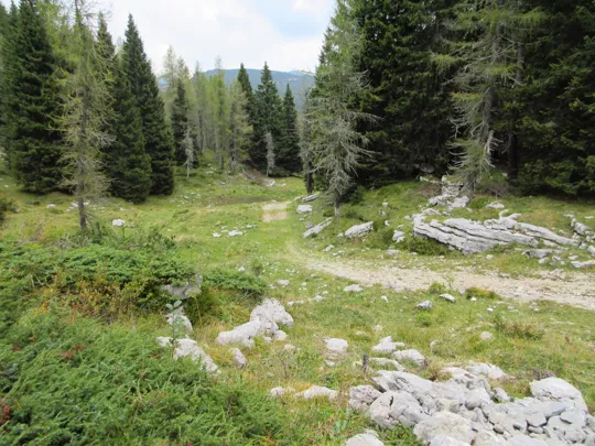Strada verso lo Zingarella