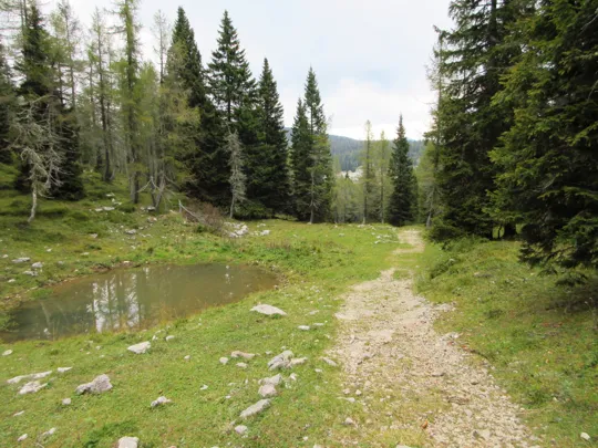 Dettaglio della strada verso lo Zingarella