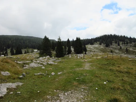 Incrocio dello Zingarella