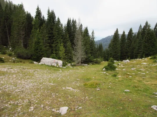 Dettaglio del sentiero