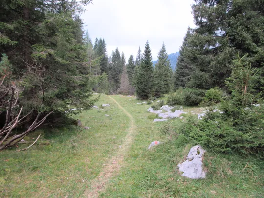 Dettaglio del sentiero