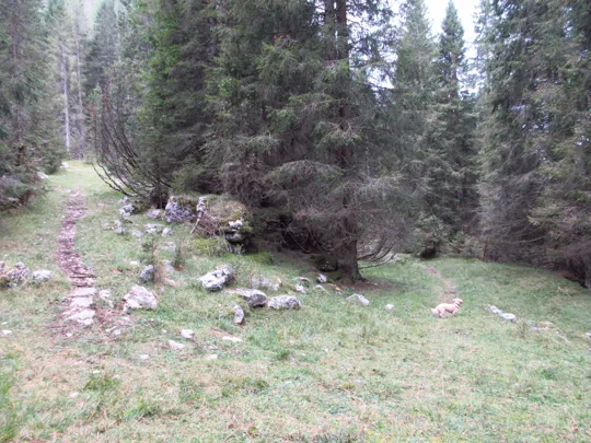 Dettaglio del tornante