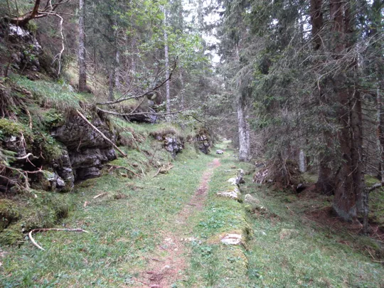 Dettaglio della mulattiera