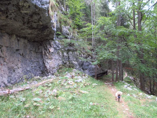 Ex baraccamenti sotto alla roccia