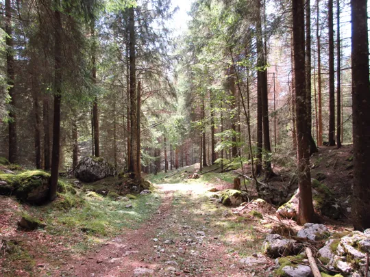 Dettaglio del percorso