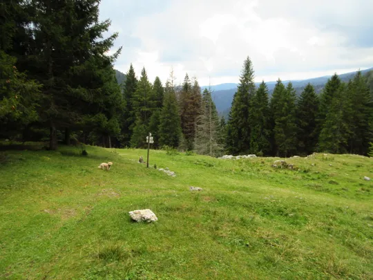 Incrocio con il sentiero, si prosegue a sinistra