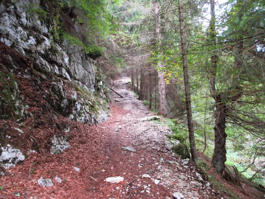 Non sembra, ma la salita è ripida