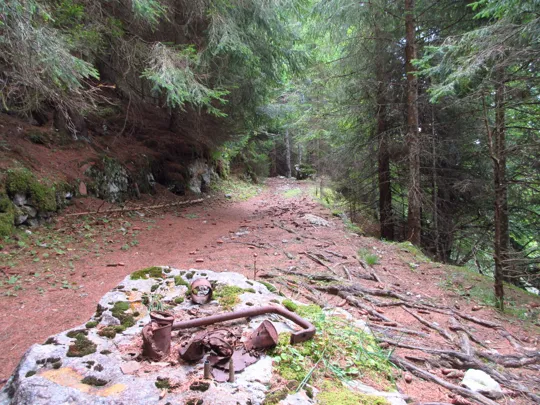 Reperti sopra un sasso