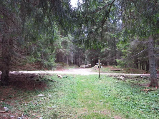 Inizio della strada per il Forte Interrotto