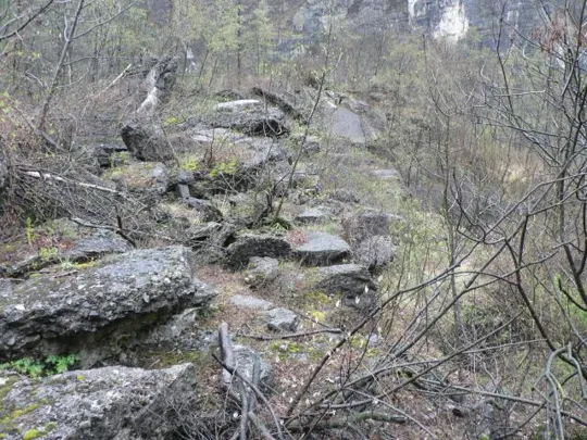 Forte Casa Ratti - Resti della copertura