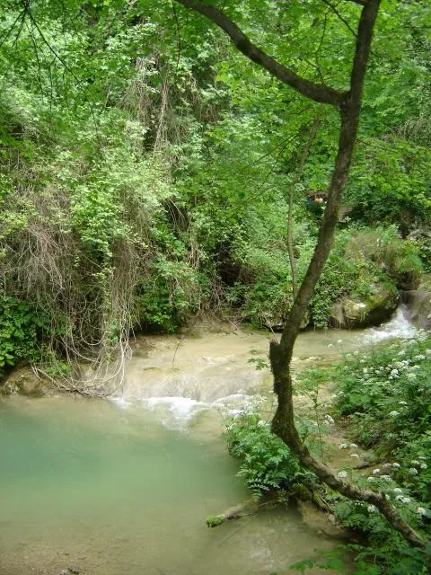 Cascate Molina - Particolari del ruscello