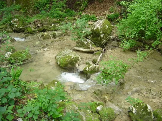 Cascate Molina - Particolari del ruscello