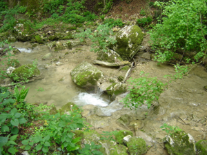 Cascate Molina - Particolari del ruscello
