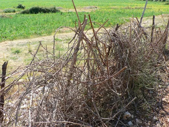 Lago di Prespa - filo spinato