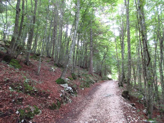 Dettaglio del percorso