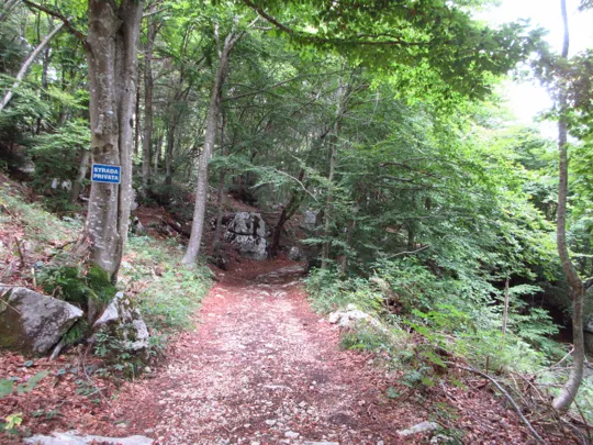 Dettaglio del sentiero subito dopo il tornante