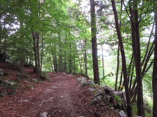 Dettaglio del sentiero