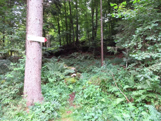 Indicazioni verso la prima sepoltura