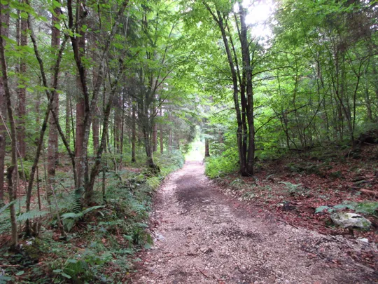 Dettaglio del percorso dopo l'incrocio