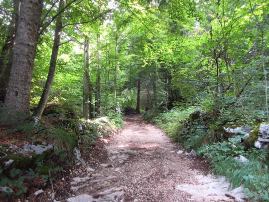 Dettaglio del percorso