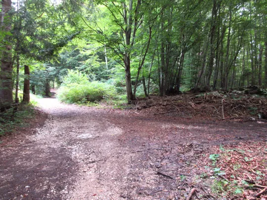 Dettaglio del percorso