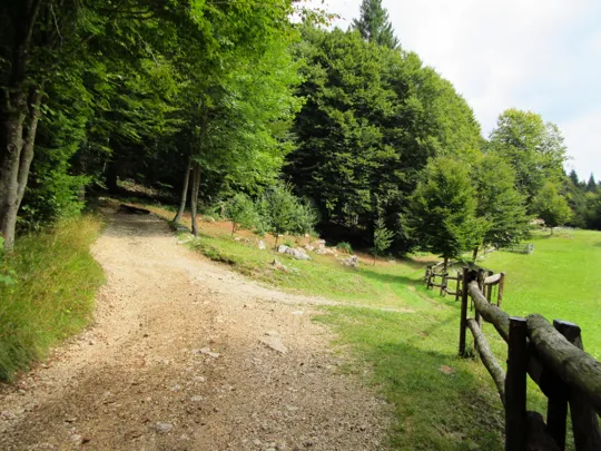 Dettaglio del percorso