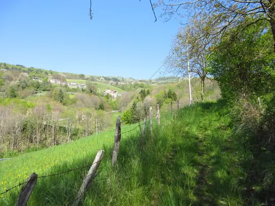 Dettaglio del percorso