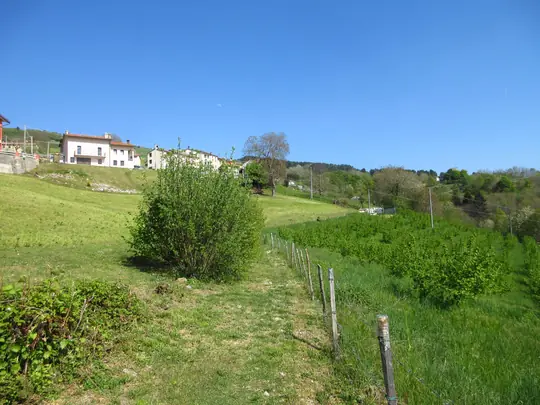 Sentiero sotto la contrada