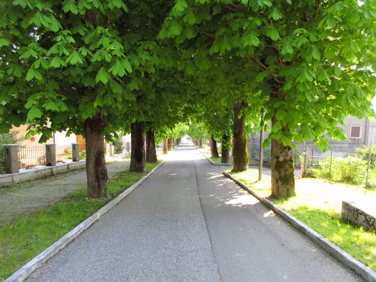 Viale della Rimembranza