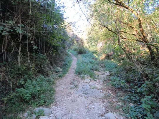 Tratto di sentiero che esce dal torrente