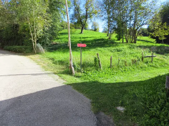 Bivio segnalato tra strada e percorso nei prati