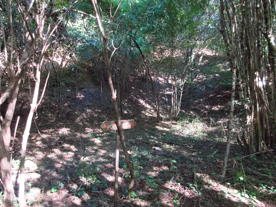 Indicazione della polveriera nel bosco