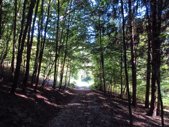 Verso contrà Alto